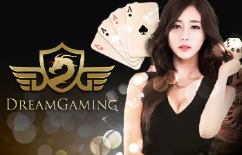 dgcasino by สล็อต8899